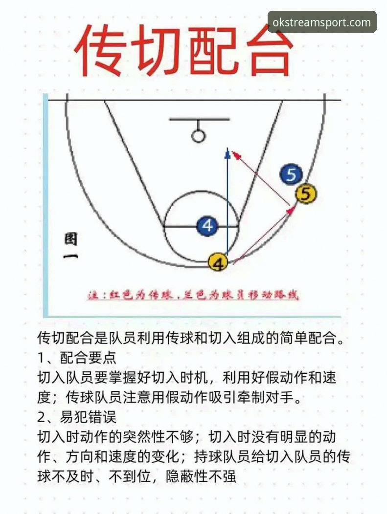 OK体育体育迷必备使用技巧 OK体育体育迷必备使用技巧全面解析:从入门到精通的高效观赛指南